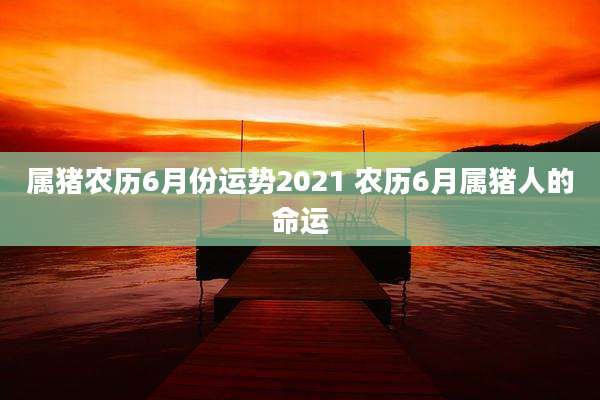 属猪农历6月份运势2021 农历6月属猪人的命运