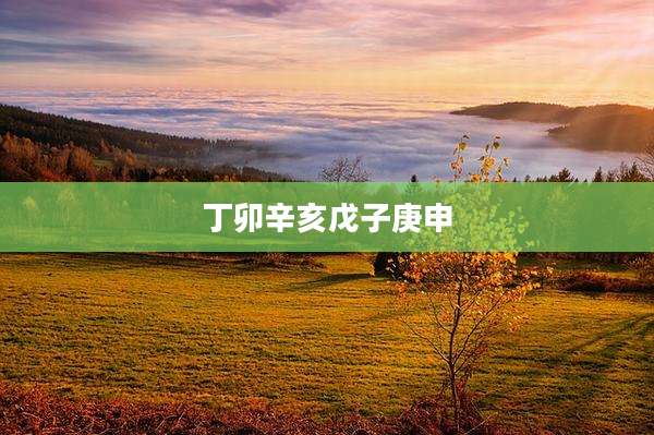 丁卯辛亥戊子庚申