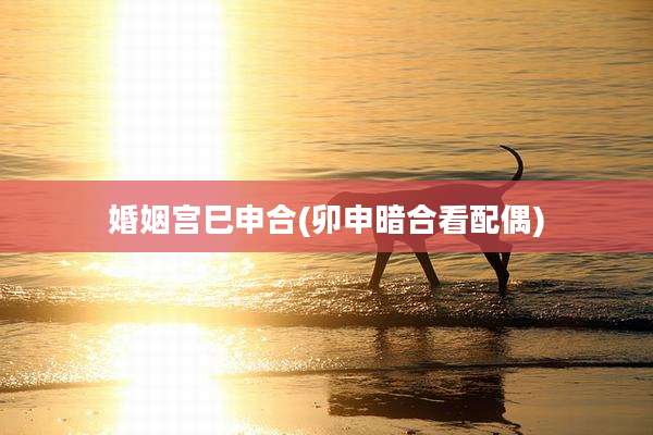 婚姻宫巳申合(卯申暗合看配偶)