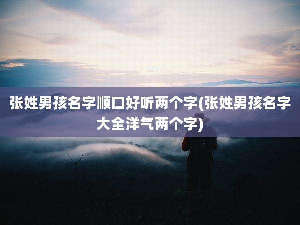 张姓男孩名字顺口好听两个字(张姓男孩名字大全洋气两个字)
