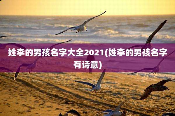 姓李的男孩名字大全2021(姓李的男孩名字有诗意)