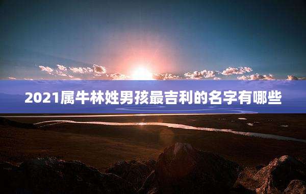 2021属牛林姓男孩最吉利的名字有哪些