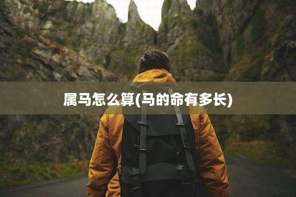 属马怎么算(马的命有多长)