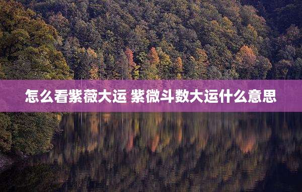 怎么看紫薇大运 紫微斗数大运什么意思