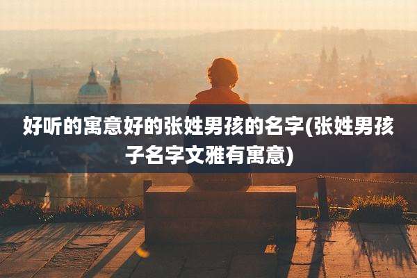好听的寓意好的张姓男孩的名字(张姓男孩子名字文雅有寓意)