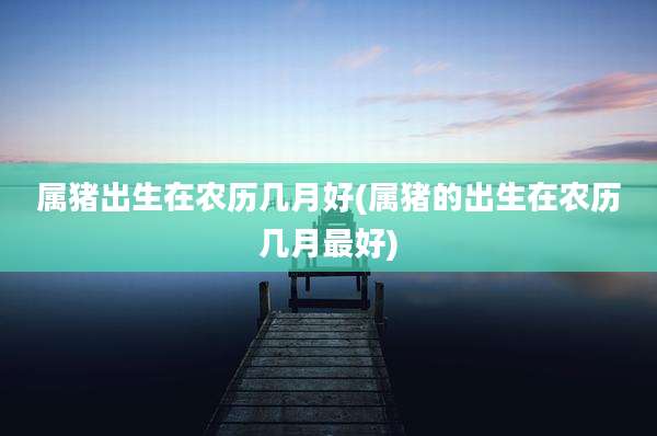 属猪出生在农历几月好(属猪的出生在农历几月最好)