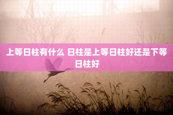 上等日柱有什么 日柱是上等日柱好还是下等日柱好