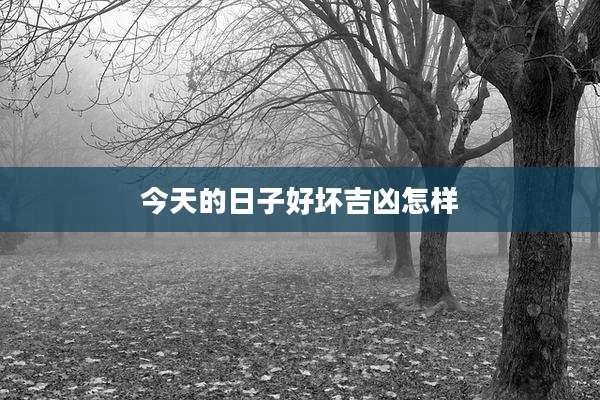 今天的日子好坏吉凶怎样