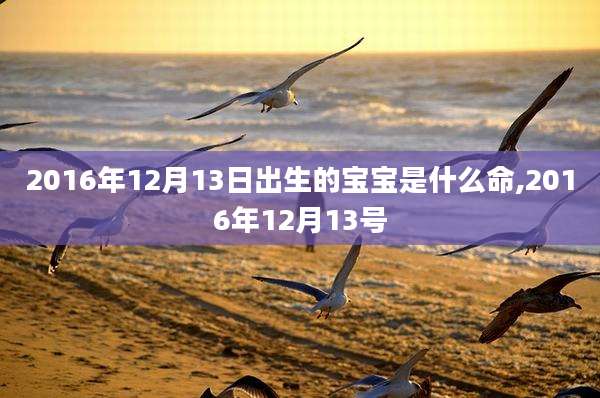 2016年12月13日出生的宝宝是什么命,2016年12月13号