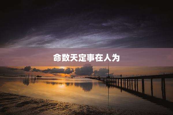 命数天定事在人为
