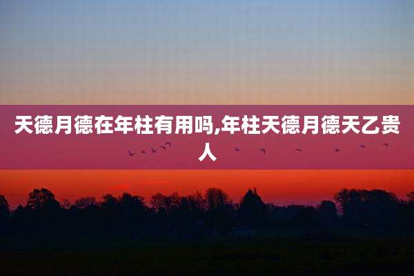 天德月德在年柱有用吗,年柱天德月德天乙贵人