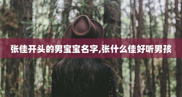 张佳开头的男宝宝名字,张什么佳好听男孩