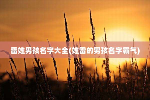 雷姓男孩名字大全(姓雷的男孩名字霸气)