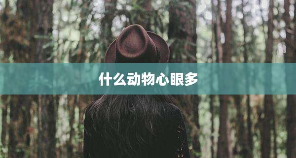 什么动物心眼多