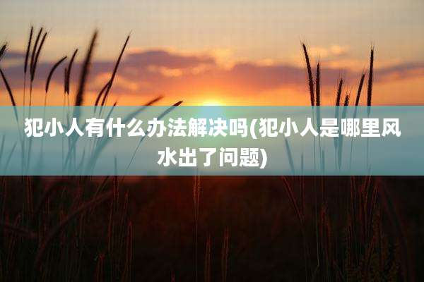 犯小人有什么办法解决吗(犯小人是哪里风水出了问题)