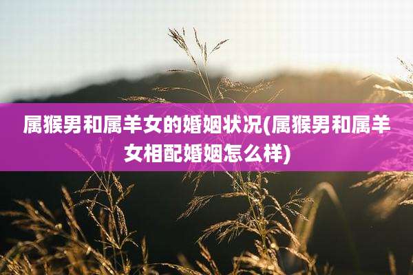属猴男和属羊女的婚姻状况(属猴男和属羊女相配婚姻怎么样)