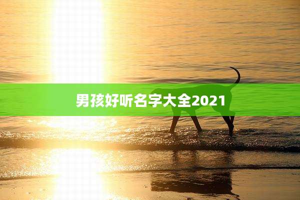 男孩好听名字大全2021