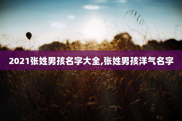 2021张姓男孩名字大全,张姓男孩洋气名字