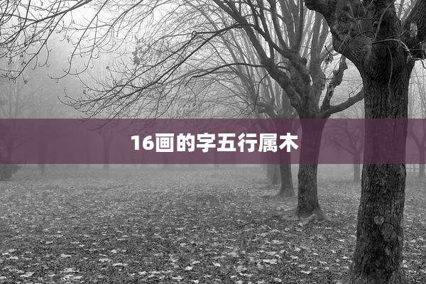 16画的字五行属木