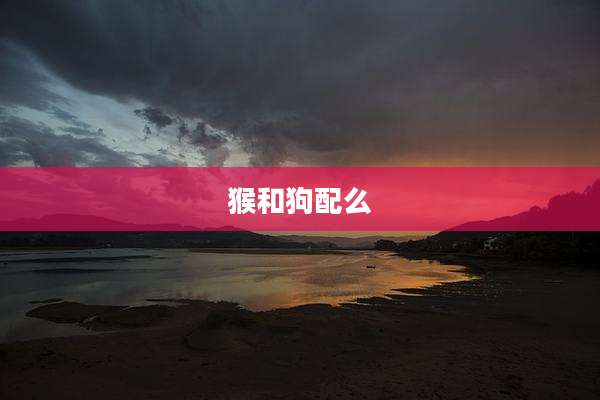 猴和狗配么