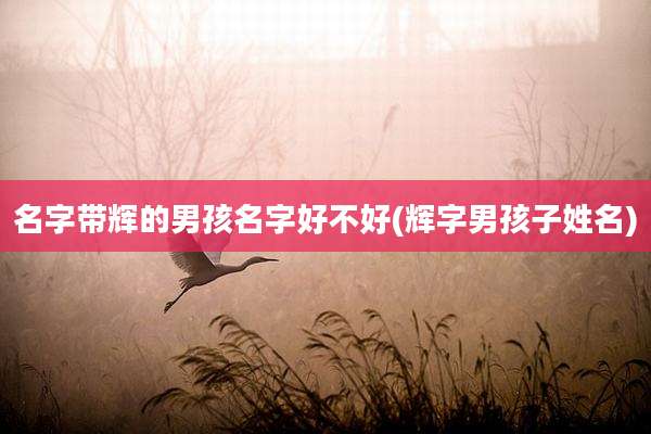 名字带辉的男孩名字好不好(辉字男孩子姓名)