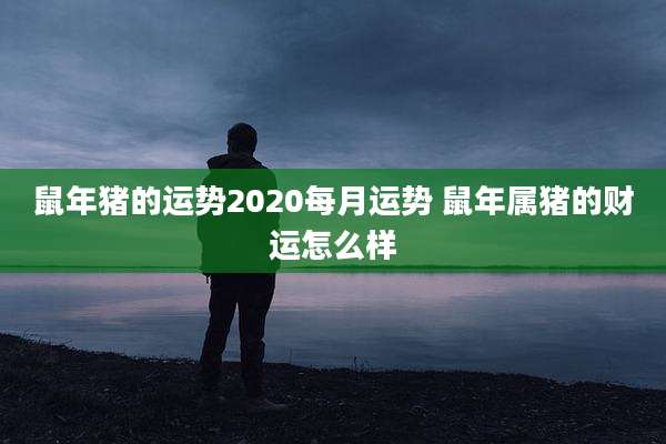 鼠年猪的运势2020每月运势 鼠年属猪的财运怎么样