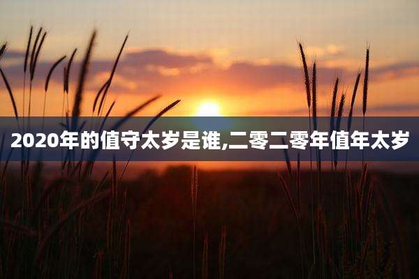 2020年的值守太岁是谁,二零二零年值年太岁