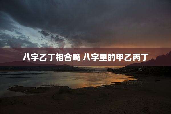 八字乙丁相合吗 八字里的甲乙丙丁