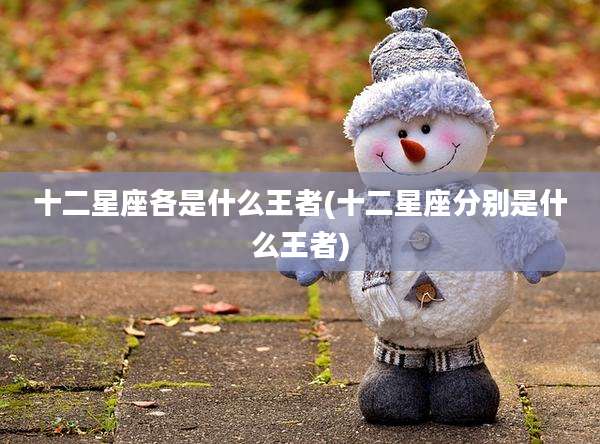 十二星座各是什么王者(十二星座分别是什么王者)