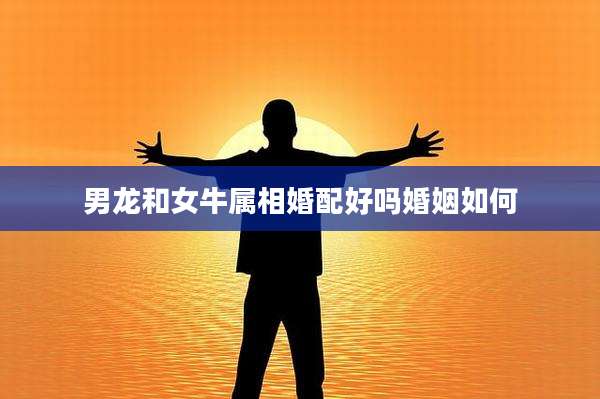男龙和女牛属相婚配好吗婚姻如何