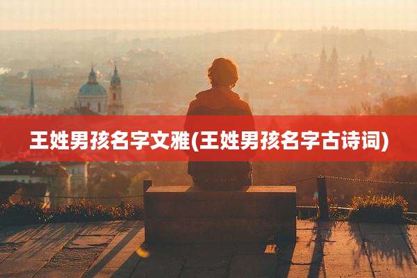 王姓男孩名字文雅(王姓男孩名字古诗词)