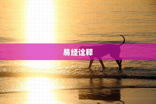 易经诠释