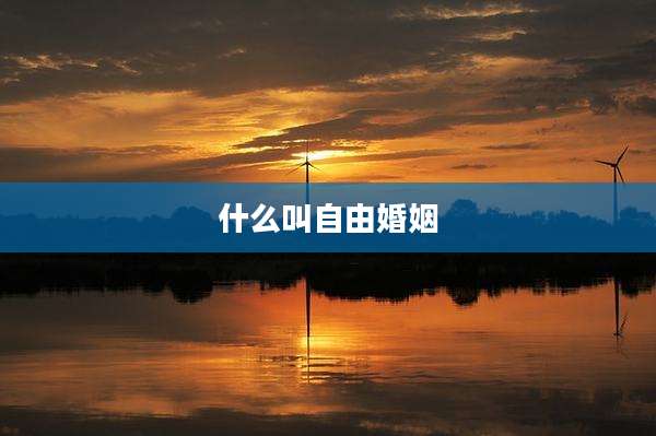 什么叫自由婚姻