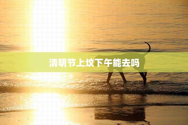 清明节上坟下午能去吗