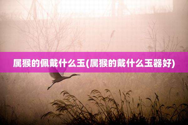 属猴的佩戴什么玉(属猴的戴什么玉器好)