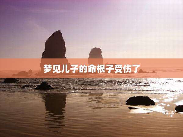 梦见儿子的命根子受伤了