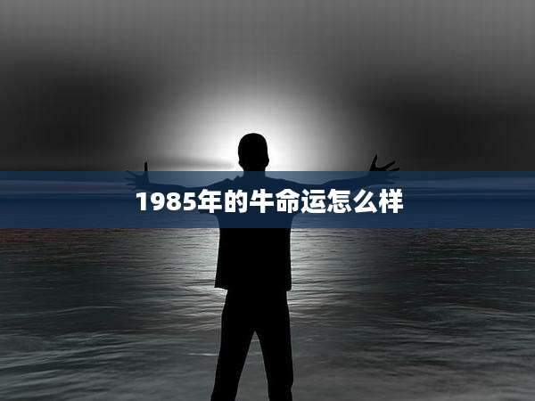 1985年的牛命运怎么样