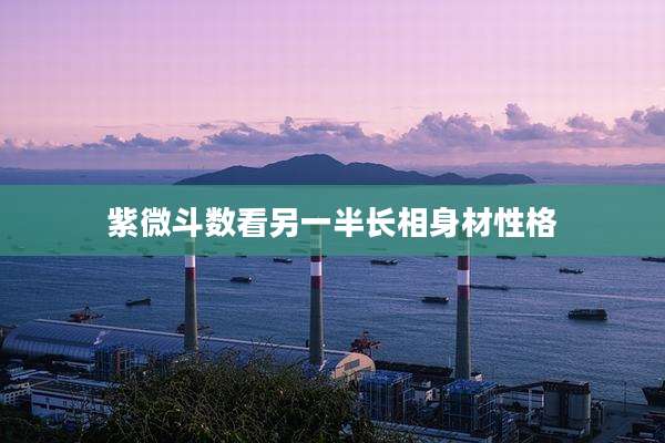紫微斗数看另一半长相身材性格
