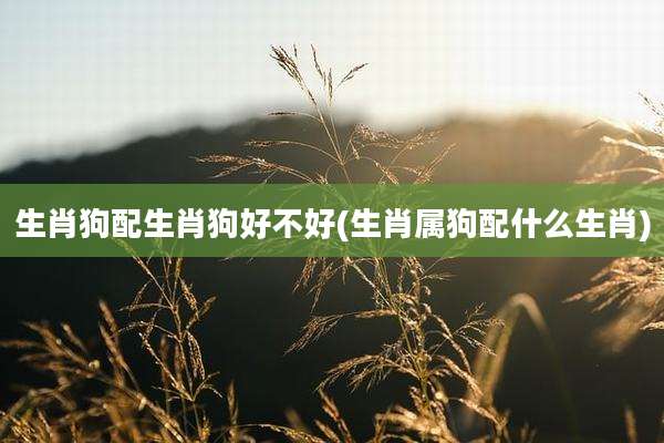 生肖狗配生肖狗好不好(生肖属狗配什么生肖)