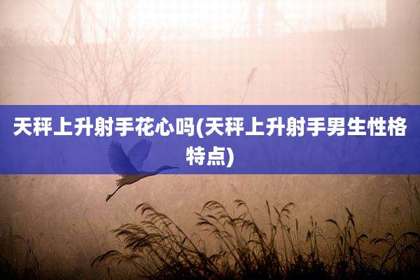 天秤上升射手花心吗(天秤上升射手男生性格特点)