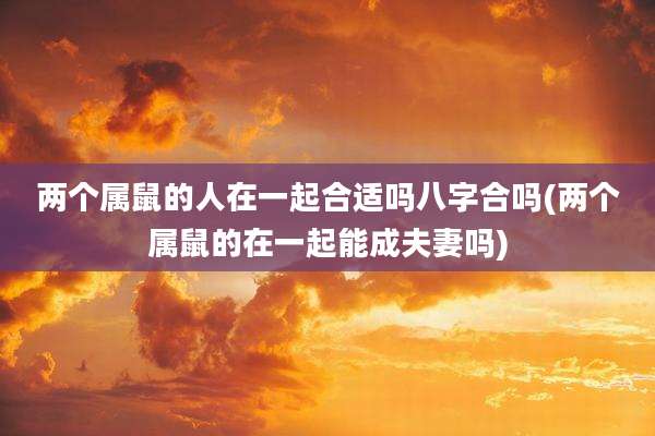 两个属鼠的人在一起合适吗八字合吗(两个属鼠的在一起能成夫妻吗)
