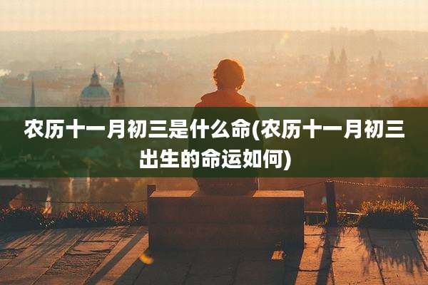 农历十一月初三是什么命(农历十一月初三出生的命运如何)