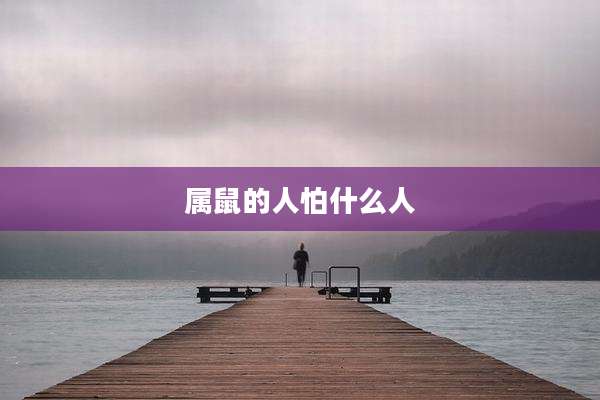 属鼠的人怕什么人