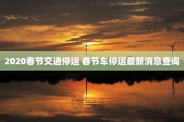2020春节交通停运 春节车停运最新消息查询
