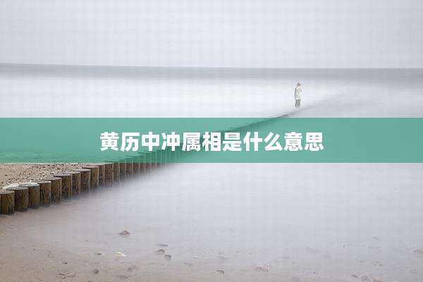 黄历中冲属相是什么意思