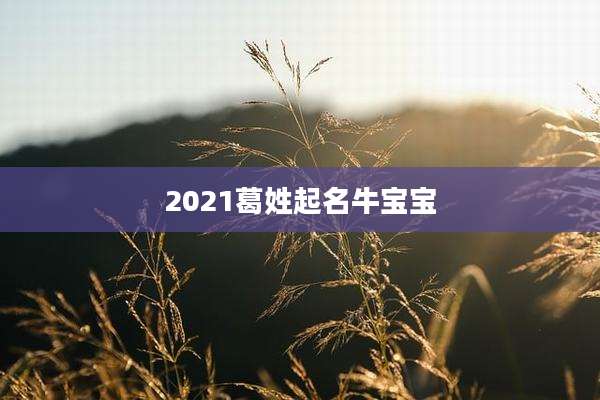 2021葛姓起名牛宝宝