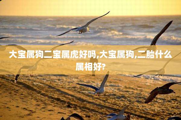 大宝属狗二宝属虎好吗,大宝属狗,二胎什么属相好?