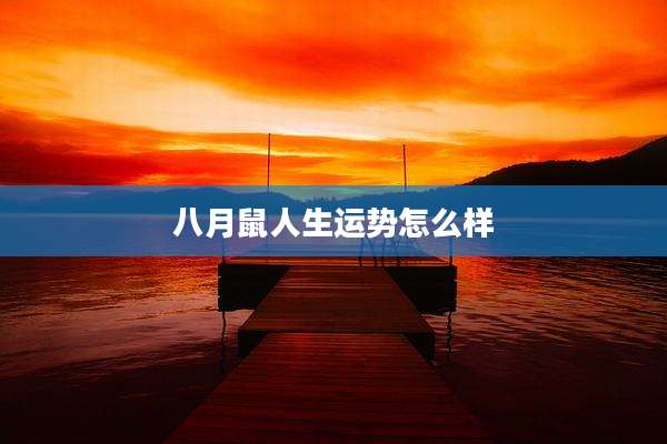 八月鼠人生运势怎么样