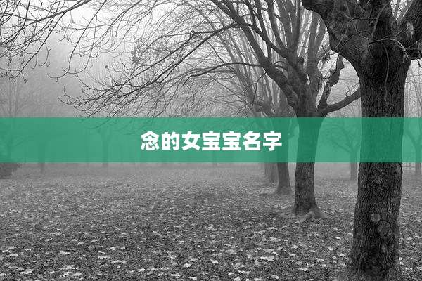 念的女宝宝名字
