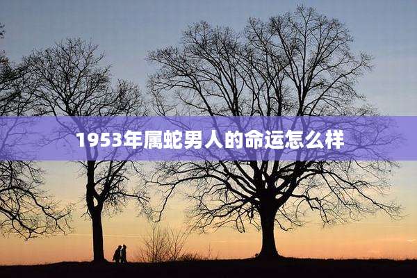 1953年属蛇男人的命运怎么样